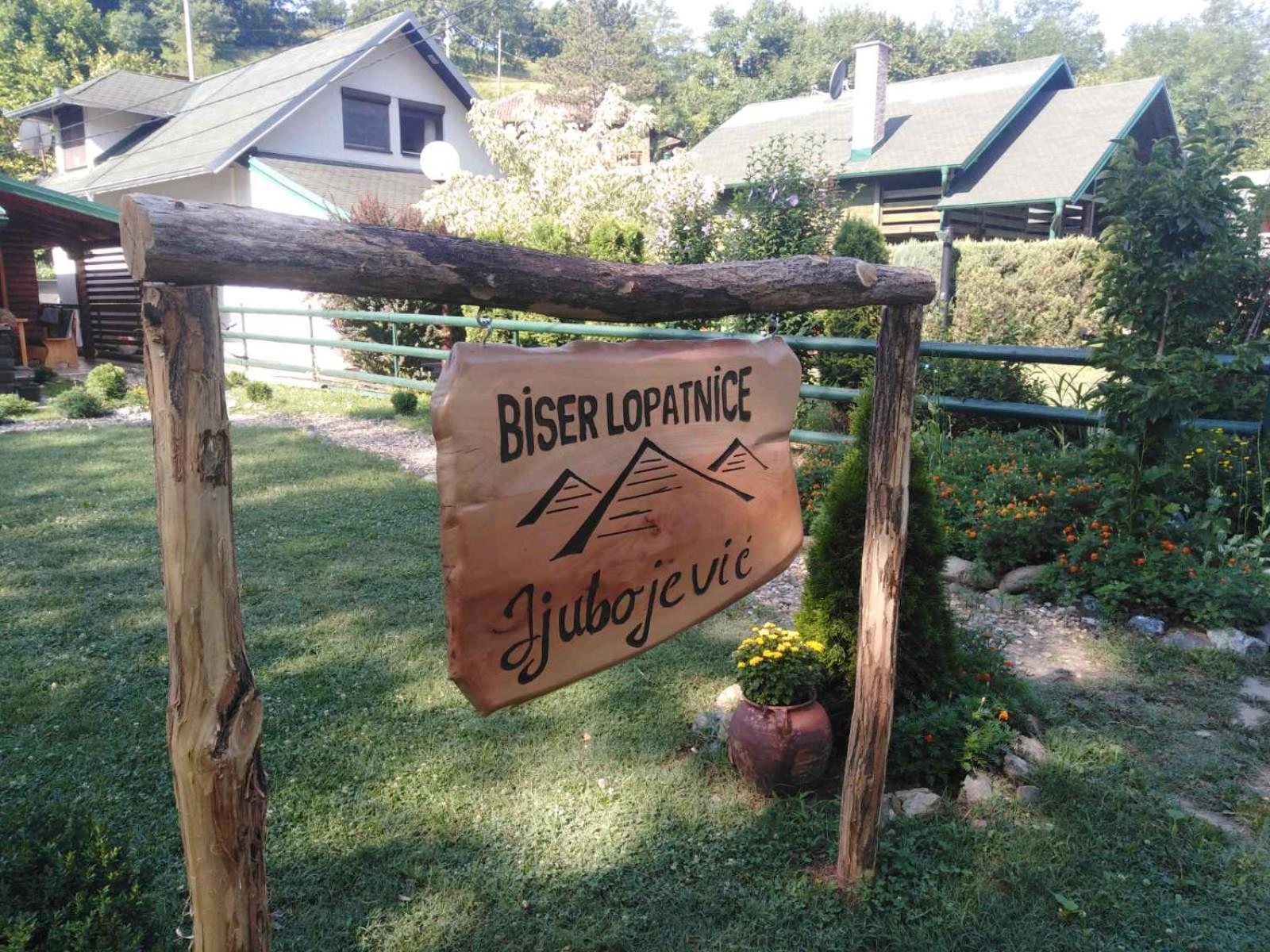Holiday home Homes Biser Lopatnice Lopatnica